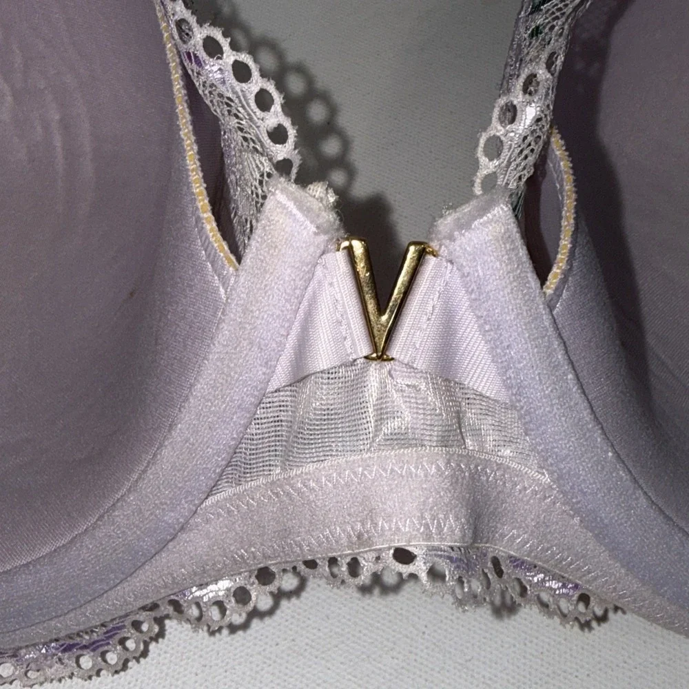 Victoria's Secret Dream Angel Embroidered Floral Lightly Lined Plunge‎ Bra 36DDD